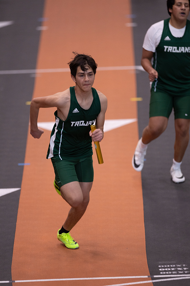 %_tempFileName1M6A6135%