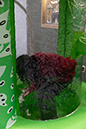 %_tempFileName1M6A4643%