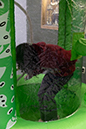 %_tempFileName1M6A4644%