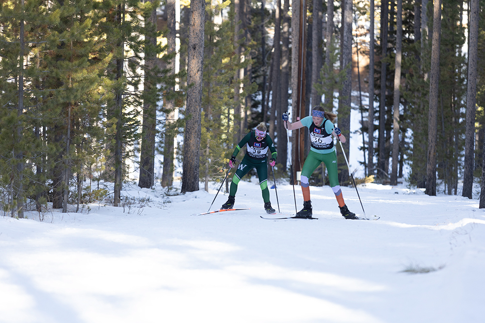 %_tempFileName1M6A2204%