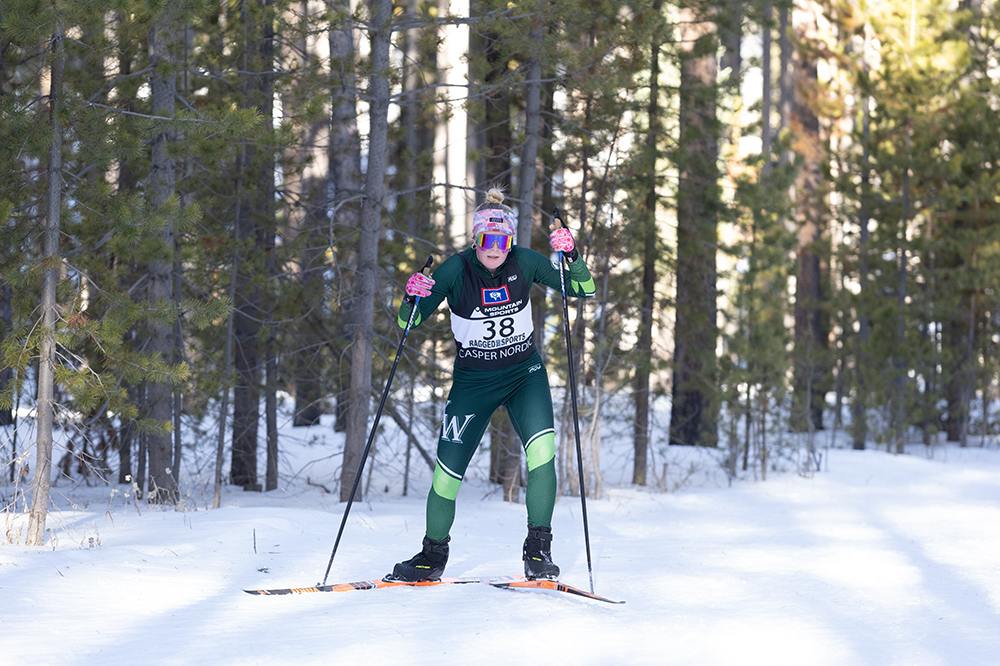 %_tempFileName1M6A2239%