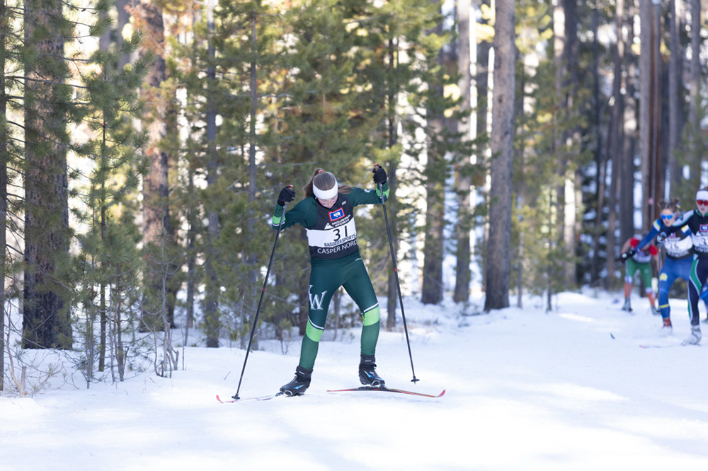 %_tempFileName1M6A2311%