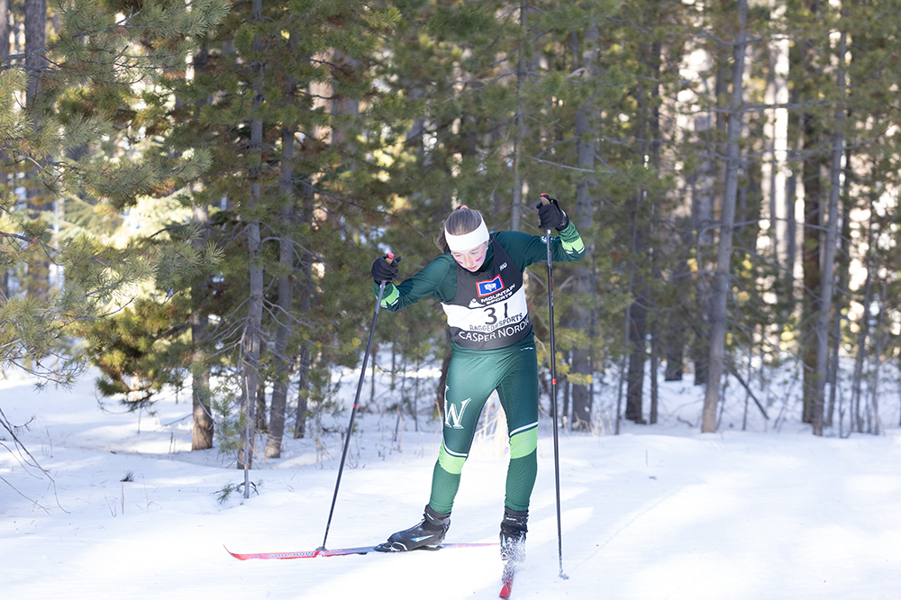 %_tempFileName1M6A2381%