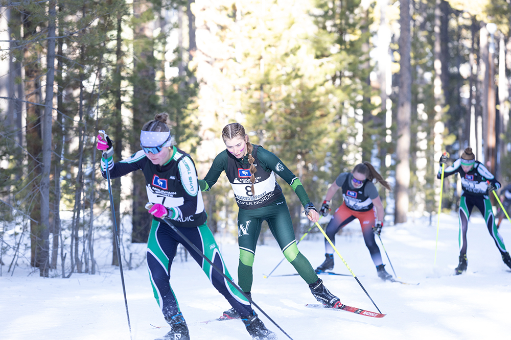 %_tempFileName1M6A2450%