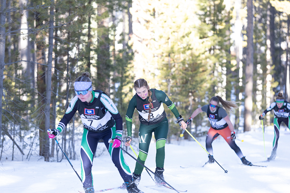 %_tempFileName1M6A2453%