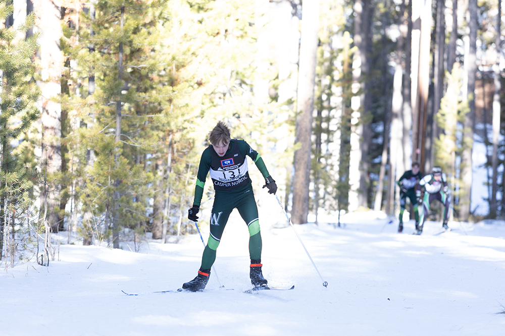 %_tempFileName1M6A2518%