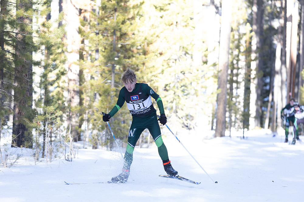 %_tempFileName1M6A2533%