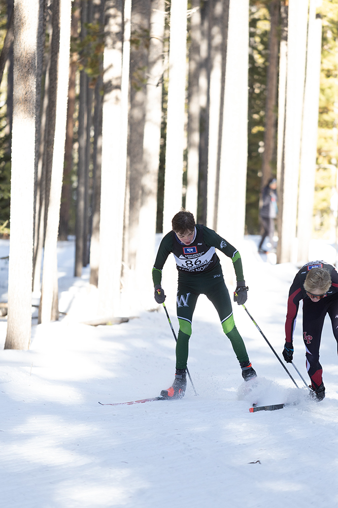 %_tempFileName1M6A3067%