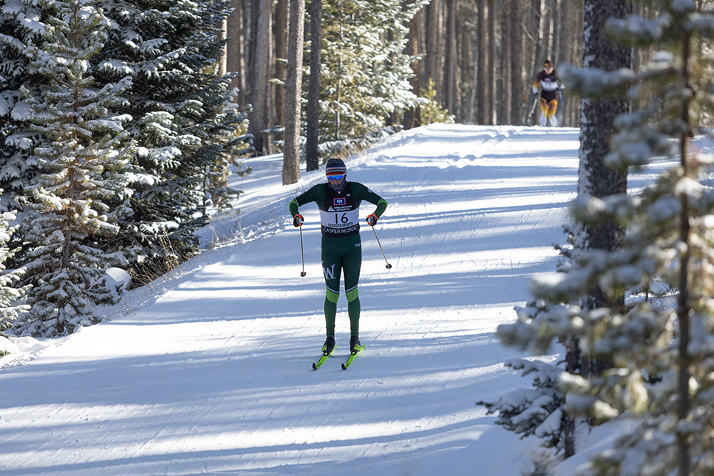 %_tempFileName1M6A2037%