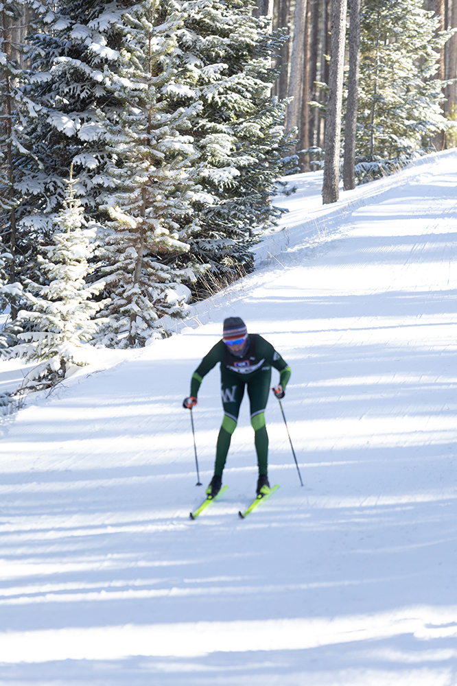 %_tempFileName1M6A2113%