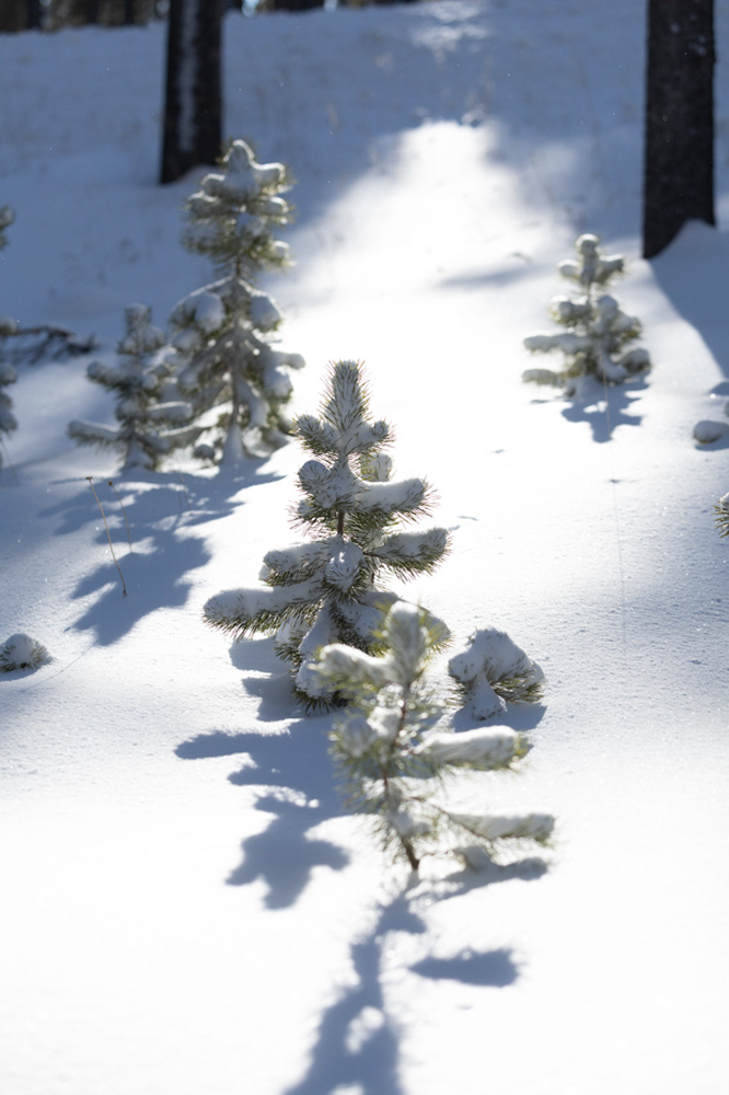 %_tempFileName1M6A2165%