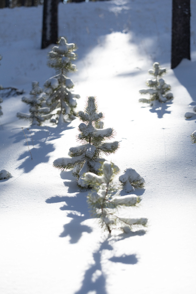 %_tempFileName1M6A2166%