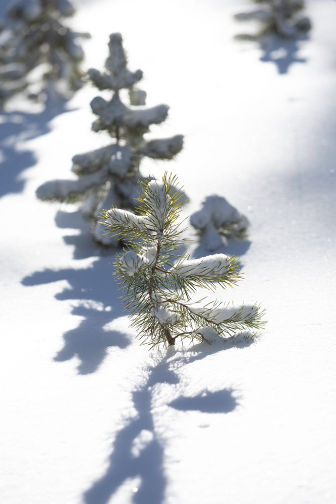 %_tempFileName1M6A2167%