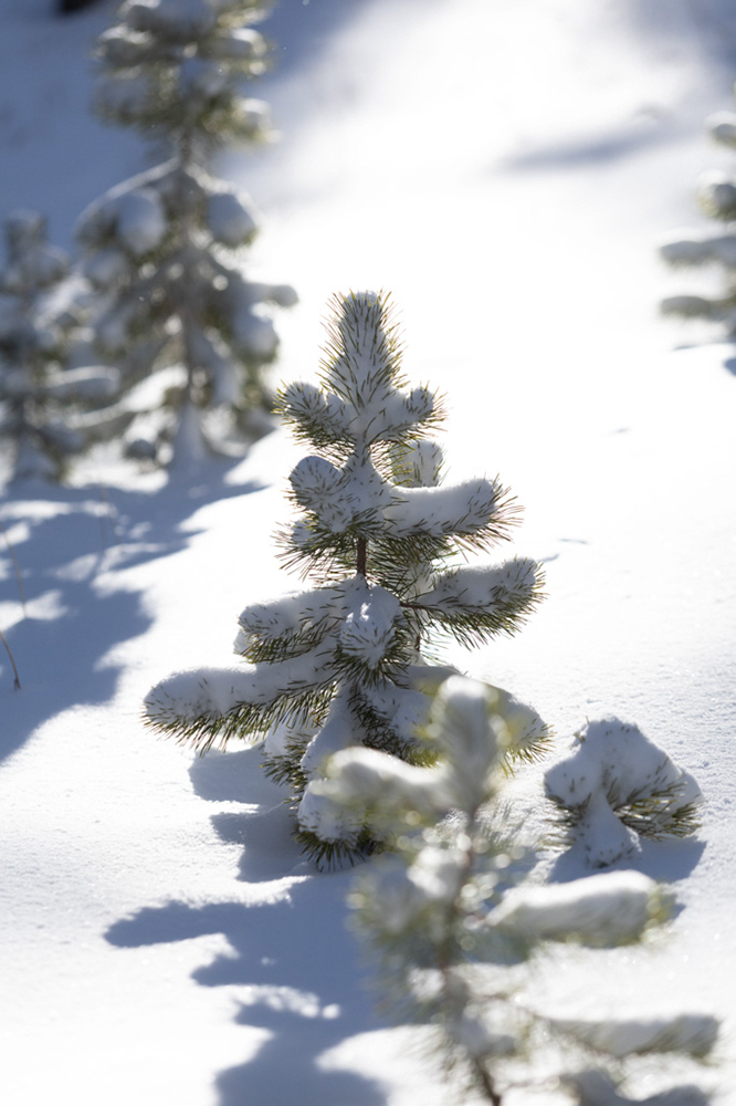 %_tempFileName1M6A2169%