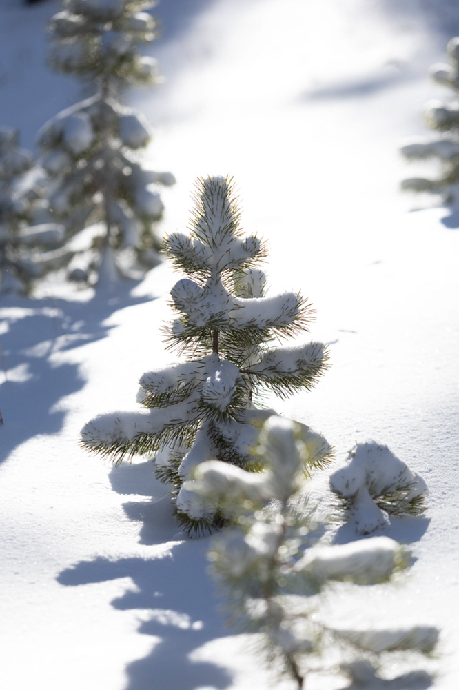 %_tempFileName1M6A2170%