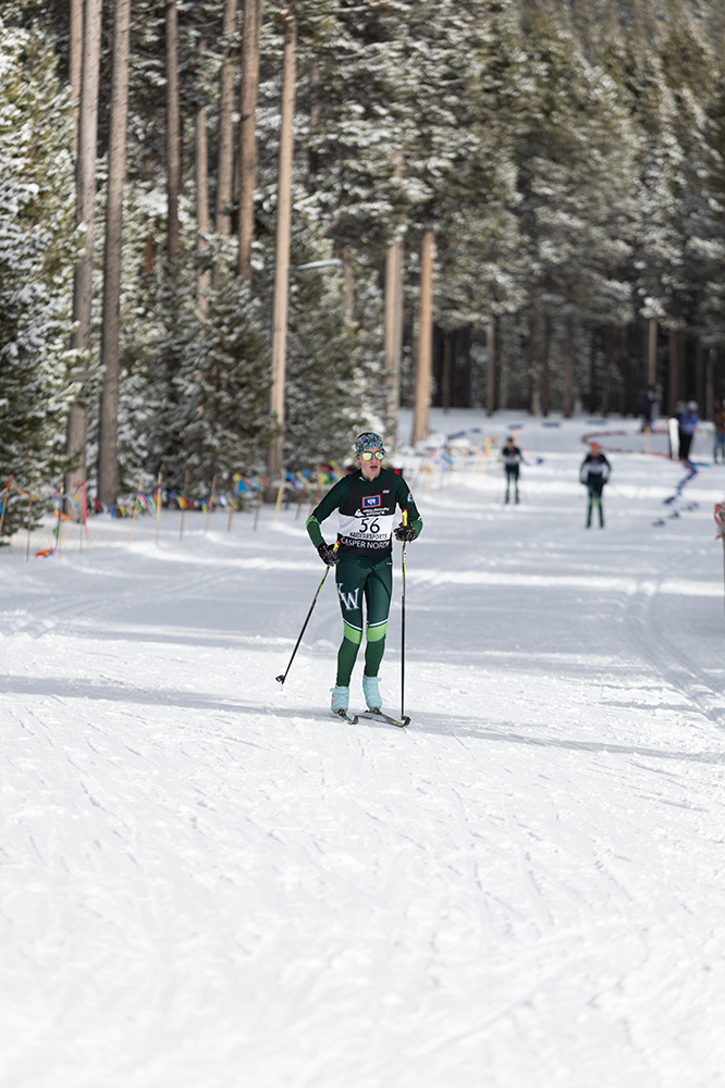 %_tempFileName1M6A2554%