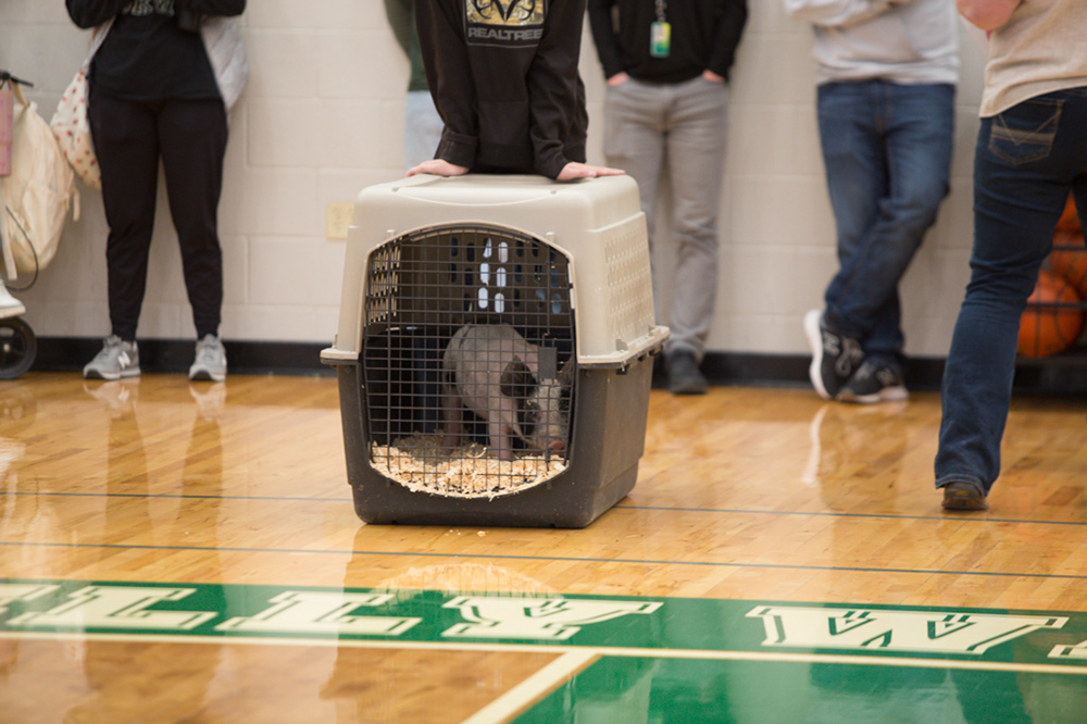 %_tempFileNameIMG_4759%