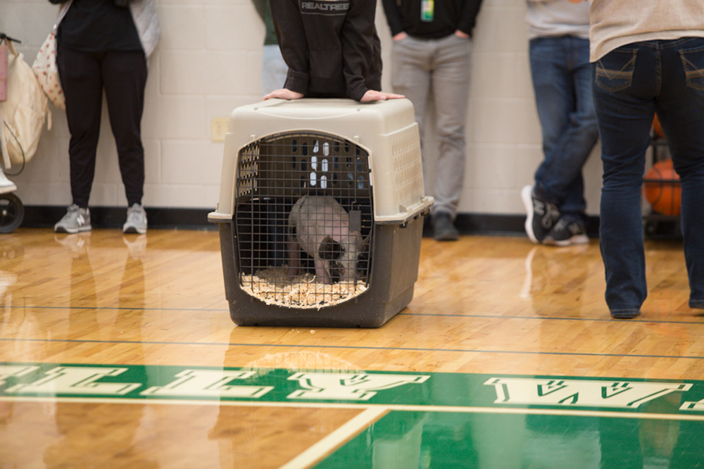 %_tempFileNameIMG_4760%