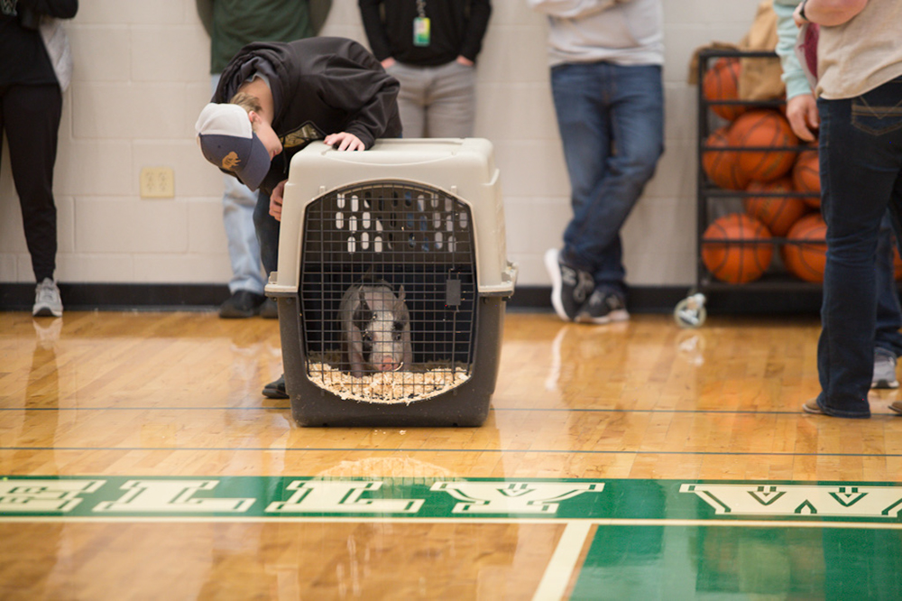 %_tempFileNameIMG_4761%