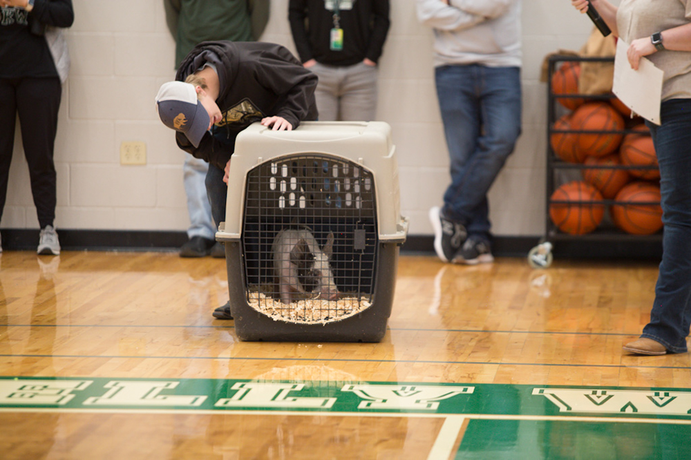 %_tempFileNameIMG_4762%