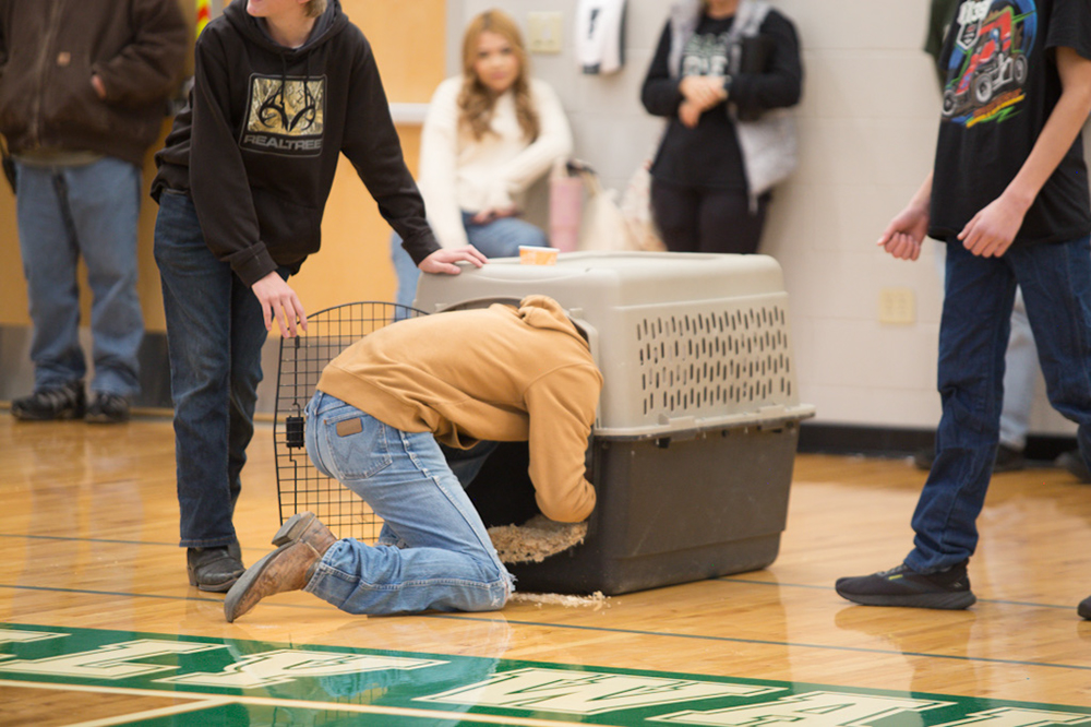 %_tempFileNameIMG_4763%