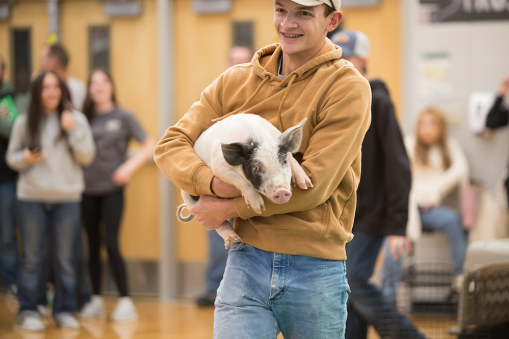 %_tempFileNameIMG_4764%