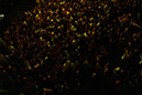 %_tempFileName1M6A1629%