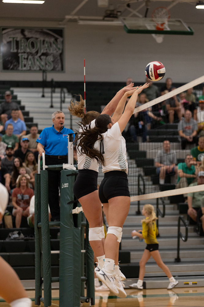 %_tempFileName1M6A4233%