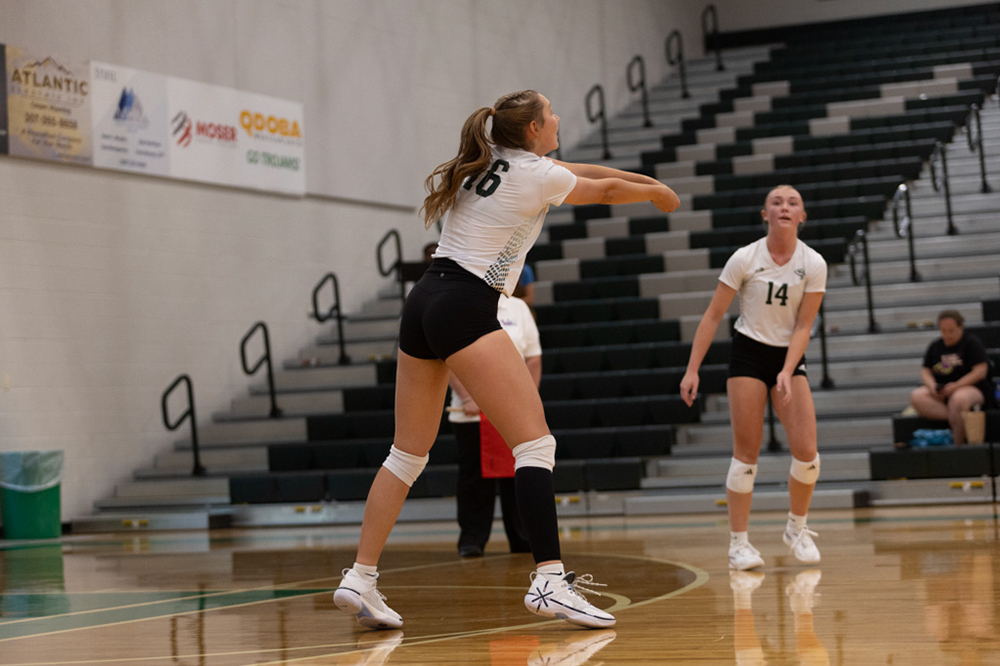 %_tempFileName1M6A4239%