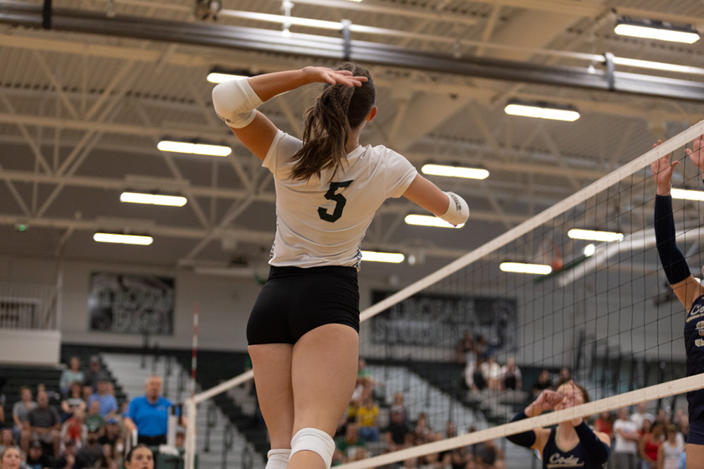 %_tempFileName1M6A4242%