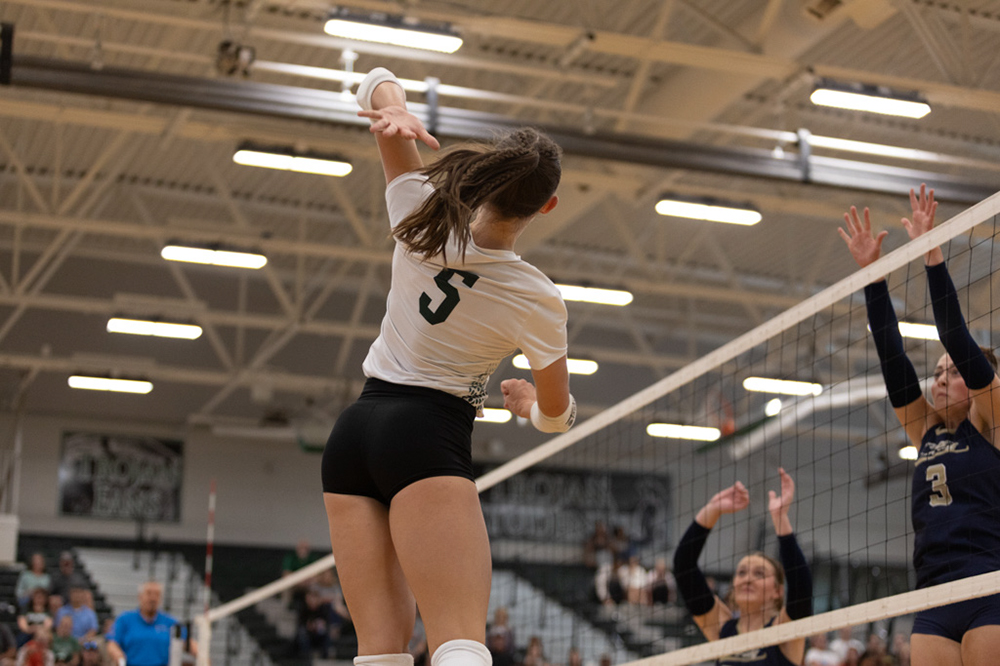 %_tempFileName1M6A4243%