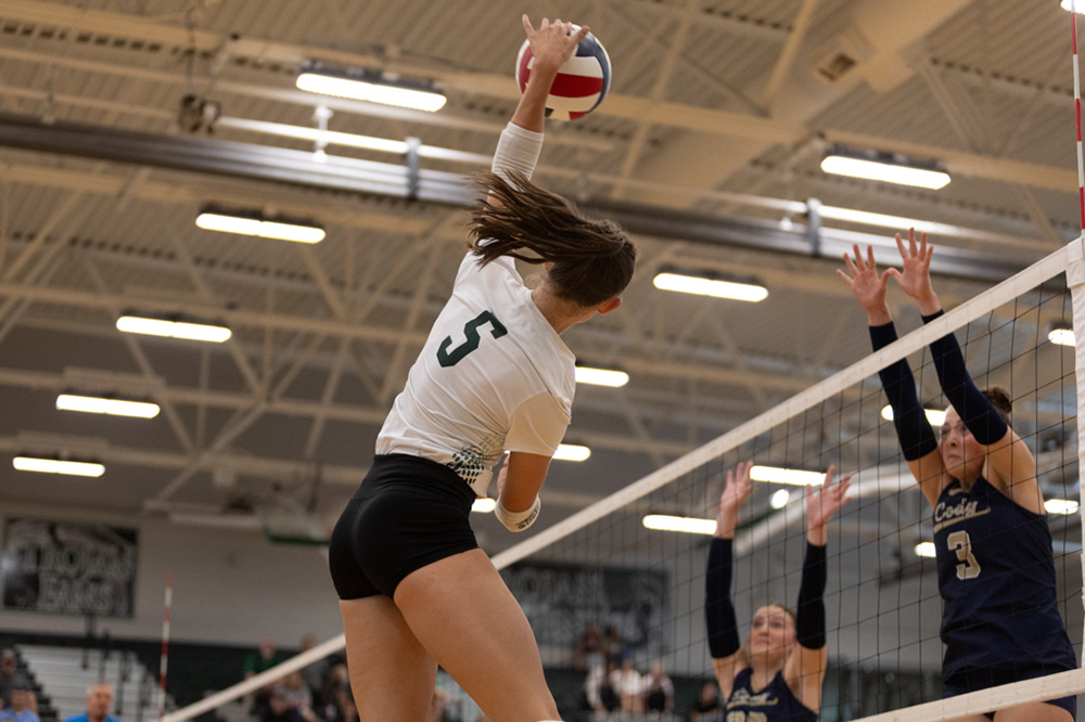 %_tempFileName1M6A4244%