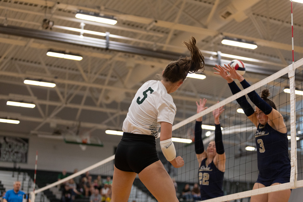 %_tempFileName1M6A4246%