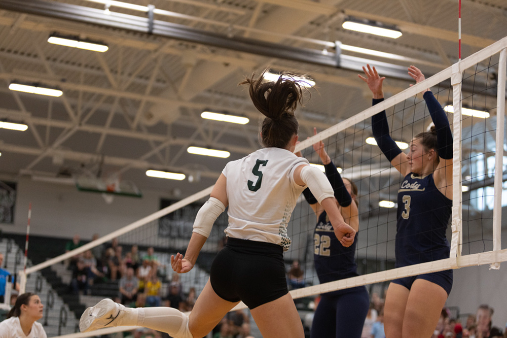 %_tempFileName1M6A4248%