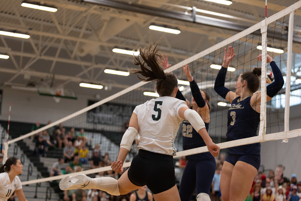 %_tempFileName1M6A4249%