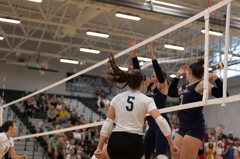 %_tempFileName1M6A4250%