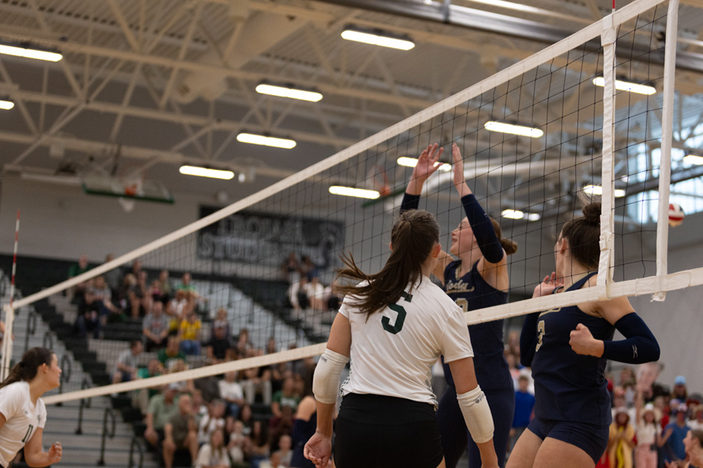 %_tempFileName1M6A4251%