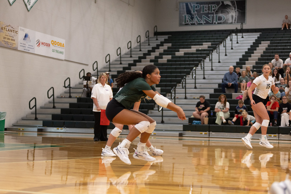 %_tempFileName1M6A4252%