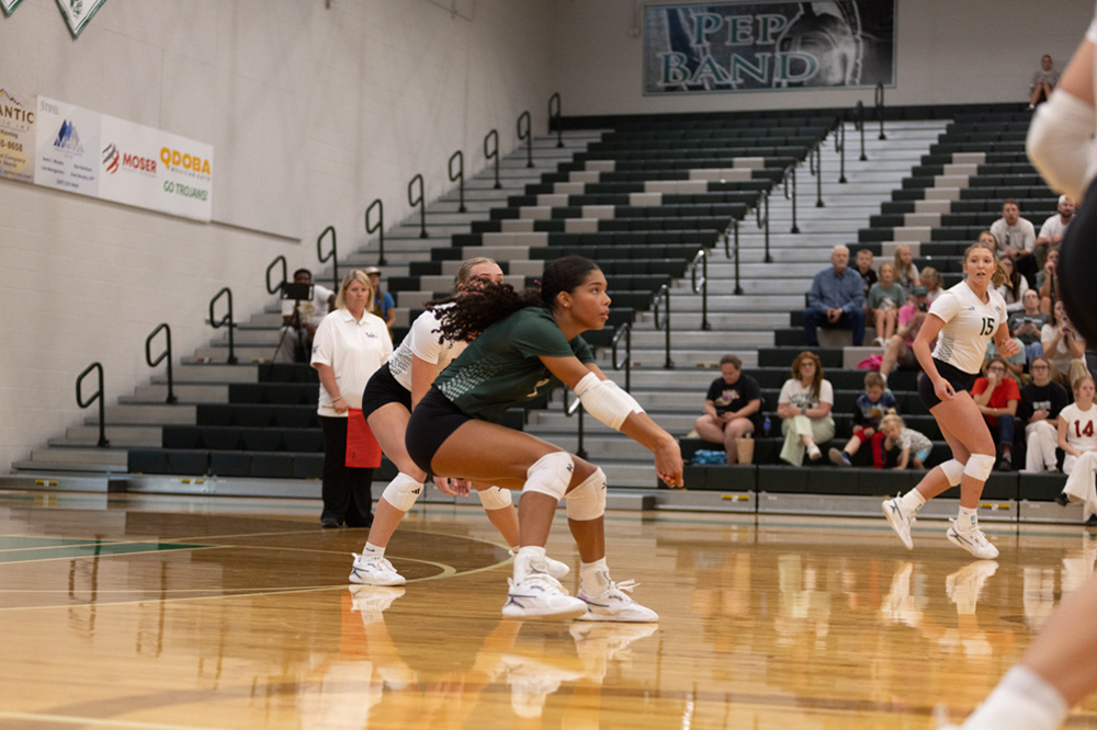 %_tempFileName1M6A4253%