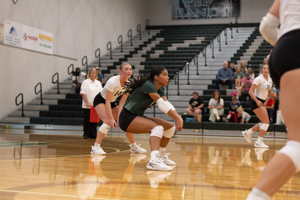 %_tempFileName1M6A4254%