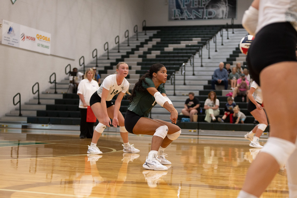 %_tempFileName1M6A4255%