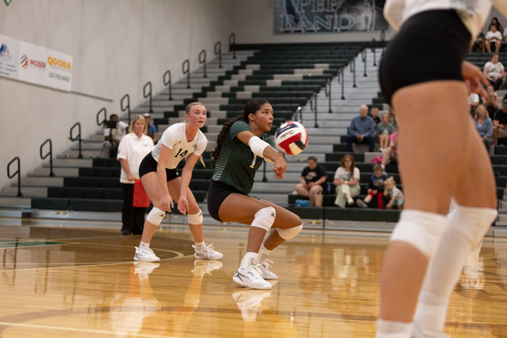 %_tempFileName1M6A4256%