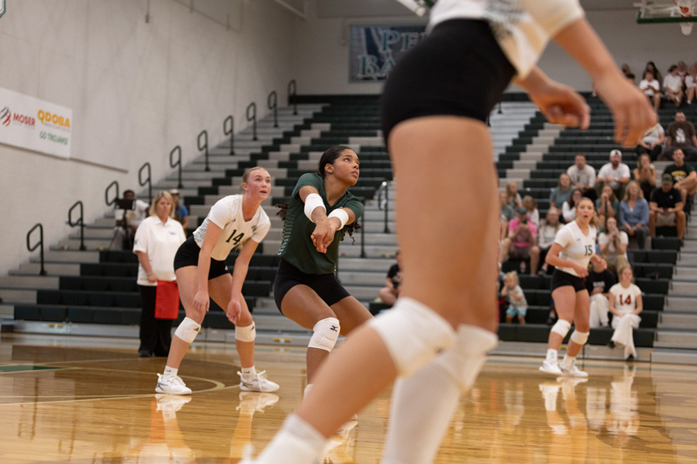 %_tempFileName1M6A4259%