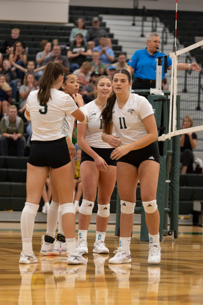 %_tempFileName1M6A4278%