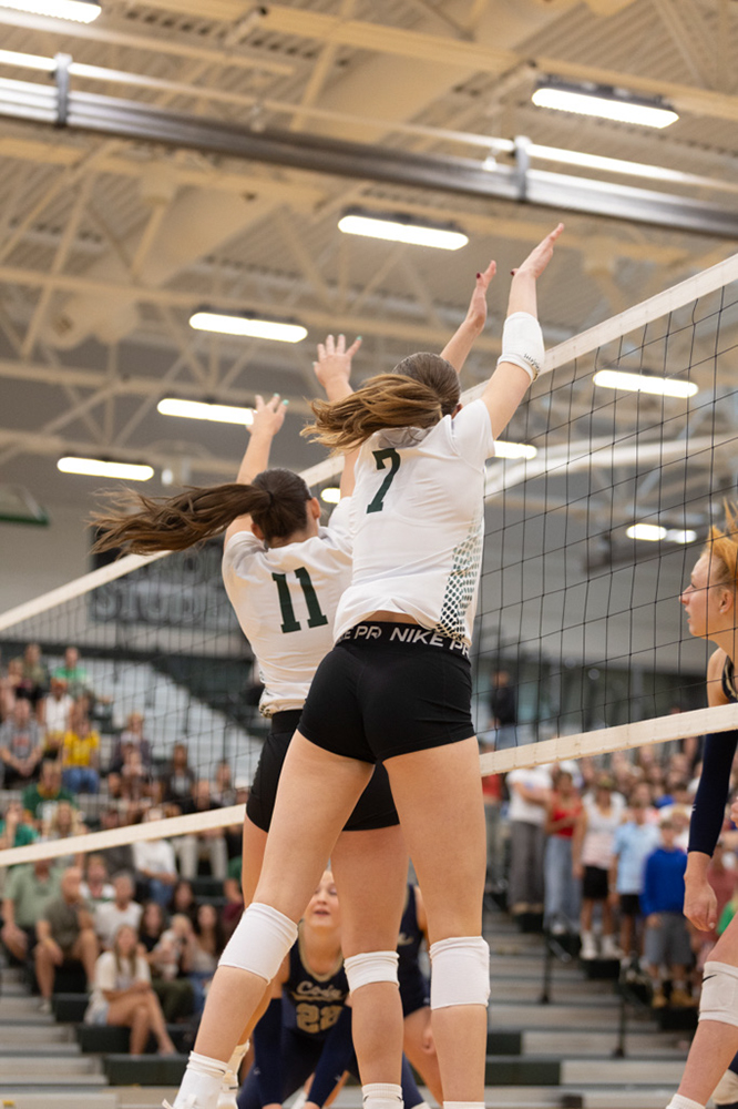 %_tempFileName1M6A4309%