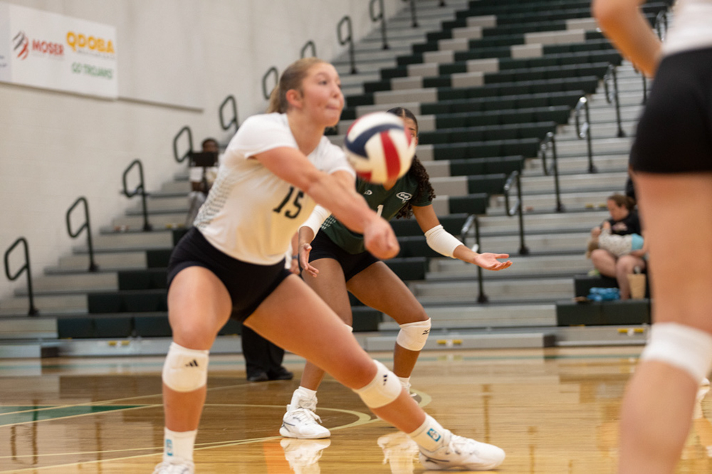 %_tempFileName1M6A4356%