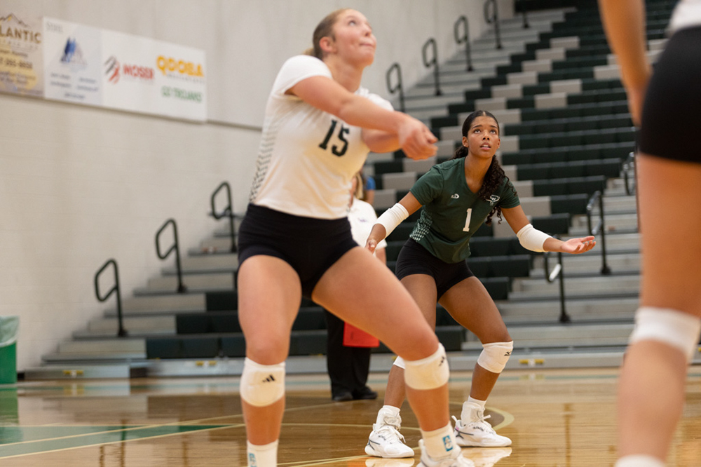 %_tempFileName1M6A4359%