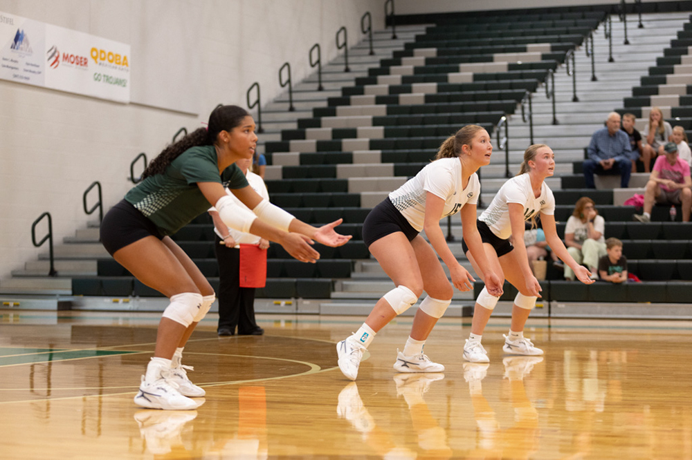 %_tempFileName1M6A4403%