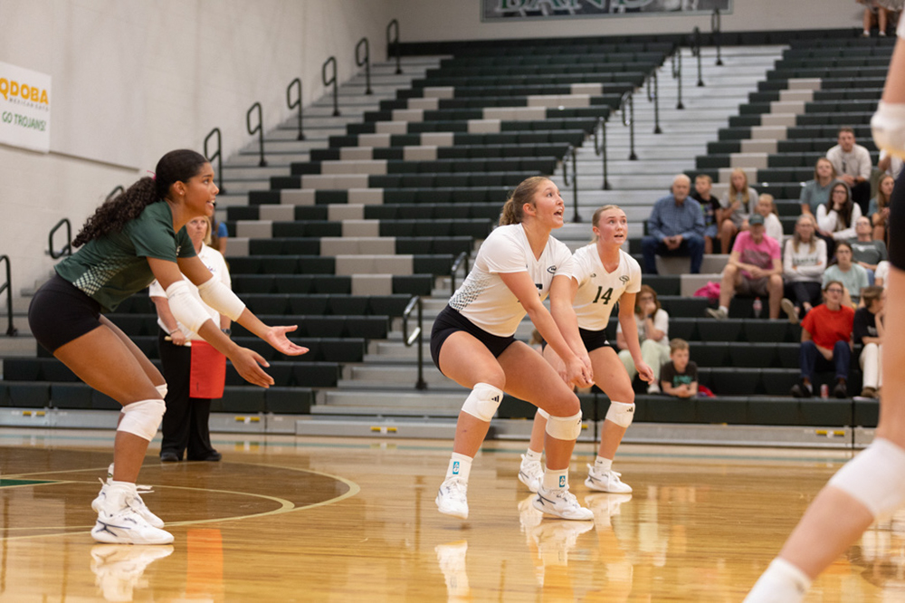 %_tempFileName1M6A4409%