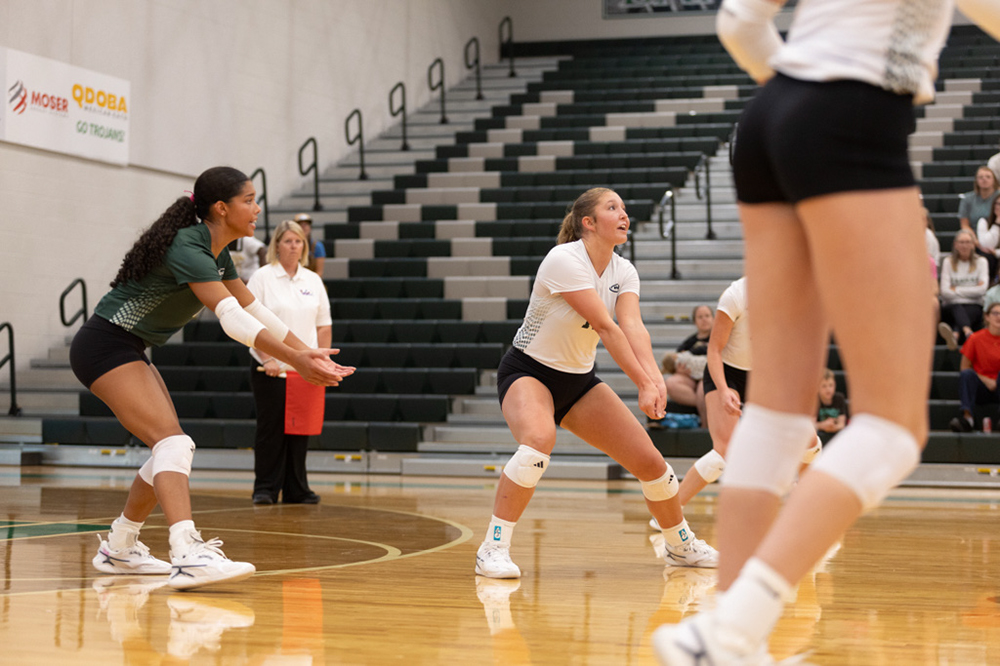 %_tempFileName1M6A4413%